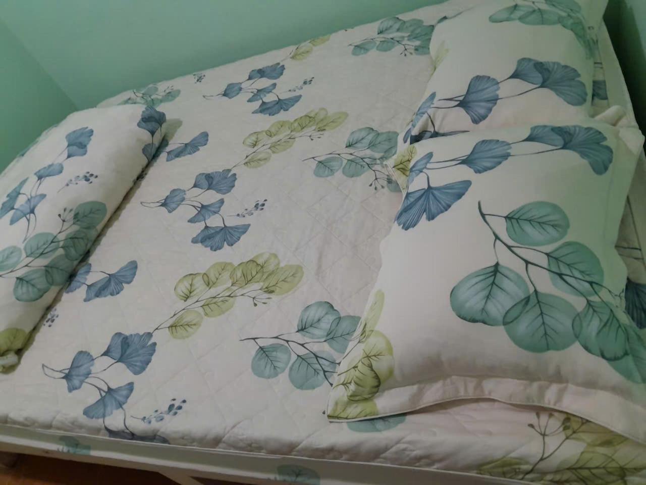 Thuy An Homestay Đà Lạt Extérieur photo